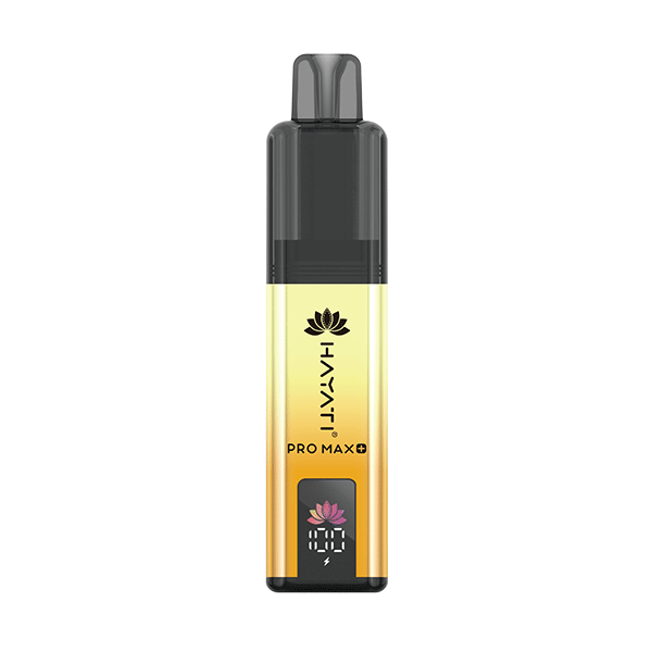 Hayati Pro Max Plus 6000 Prefilled Pod Vape Kit – T-Misu