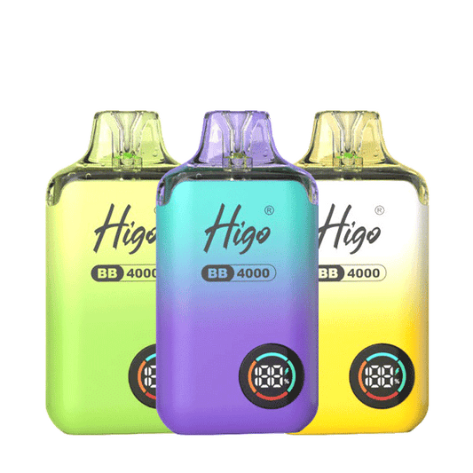 Higo BB4000 Prefilled Pod Vape Kit | 10-Pack