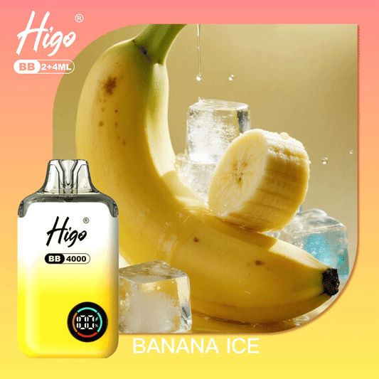 Higo BB4000 Prefilled Pod Vape Kit | 10-Pack