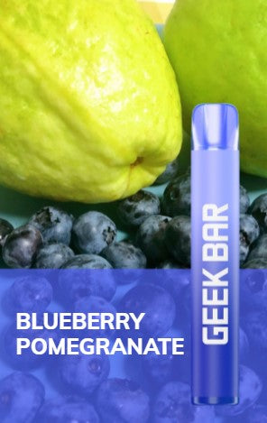 Exclusive Geek Bar E600 Blueberry Pomegranate Disposable Vape 20mg l Pack Of 10